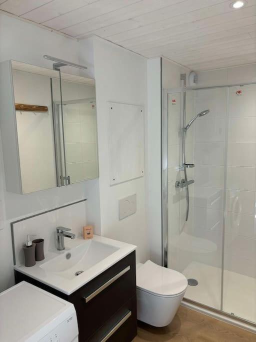 L'hirondelle, Renove Au Coeur D'arago Apartment *