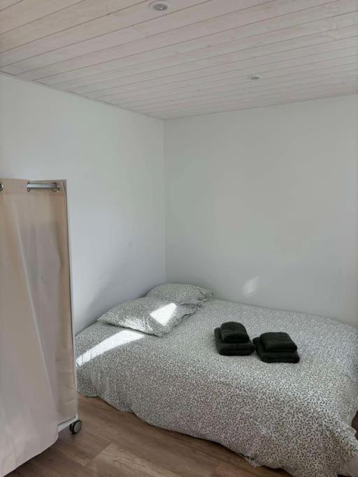 L'hirondelle, Renove Au Coeur D'arago